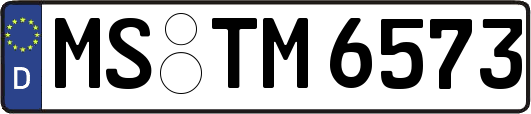 MS-TM6573