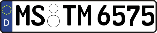 MS-TM6575