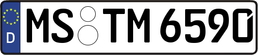 MS-TM6590