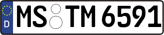 MS-TM6591