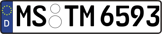 MS-TM6593