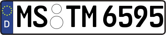MS-TM6595