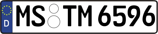 MS-TM6596