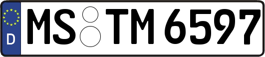 MS-TM6597