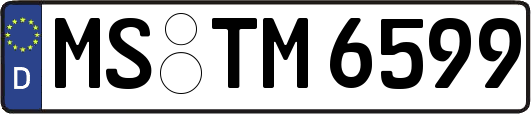 MS-TM6599