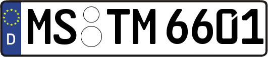 MS-TM6601