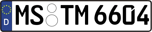 MS-TM6604