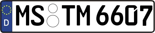 MS-TM6607