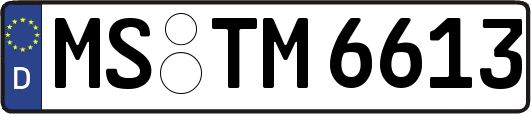 MS-TM6613