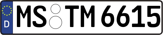MS-TM6615