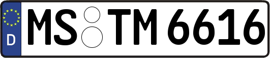 MS-TM6616