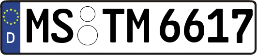 MS-TM6617