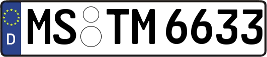 MS-TM6633
