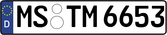 MS-TM6653