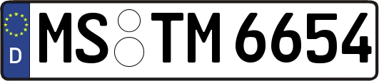 MS-TM6654