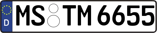 MS-TM6655