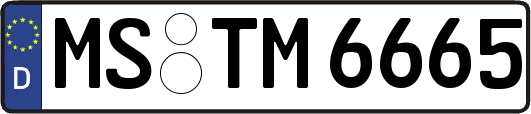 MS-TM6665