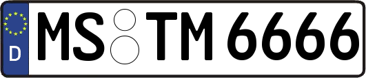 MS-TM6666