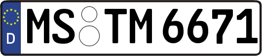 MS-TM6671