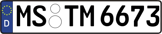 MS-TM6673