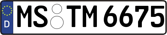 MS-TM6675