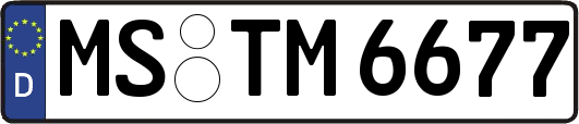 MS-TM6677