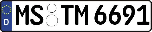 MS-TM6691