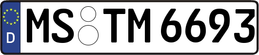 MS-TM6693