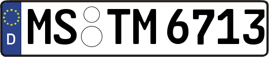 MS-TM6713
