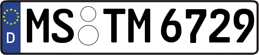 MS-TM6729