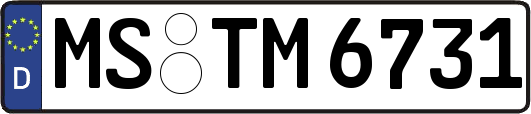 MS-TM6731