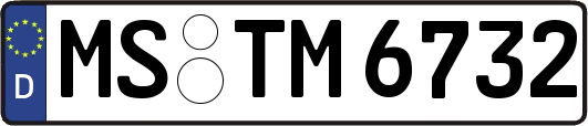 MS-TM6732