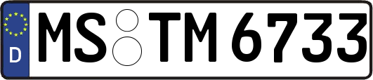 MS-TM6733