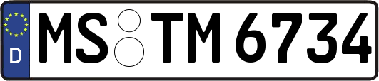MS-TM6734