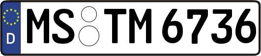MS-TM6736