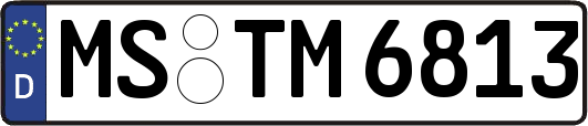 MS-TM6813
