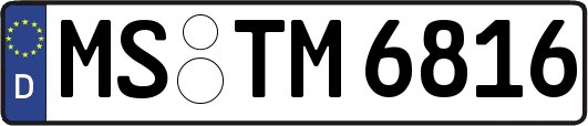 MS-TM6816