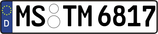 MS-TM6817