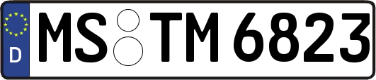 MS-TM6823
