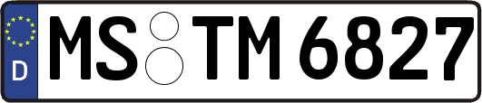 MS-TM6827