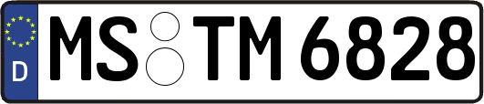 MS-TM6828