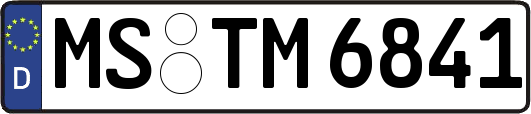 MS-TM6841