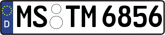 MS-TM6856
