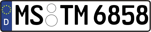MS-TM6858