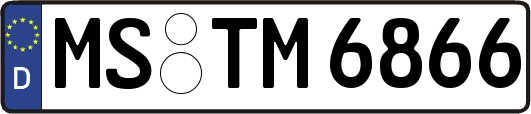 MS-TM6866