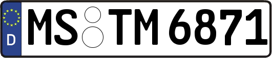 MS-TM6871