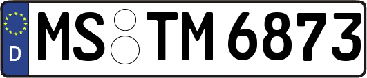 MS-TM6873