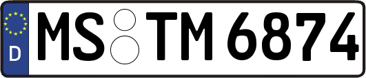 MS-TM6874
