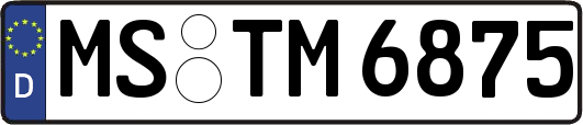 MS-TM6875