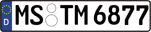 MS-TM6877